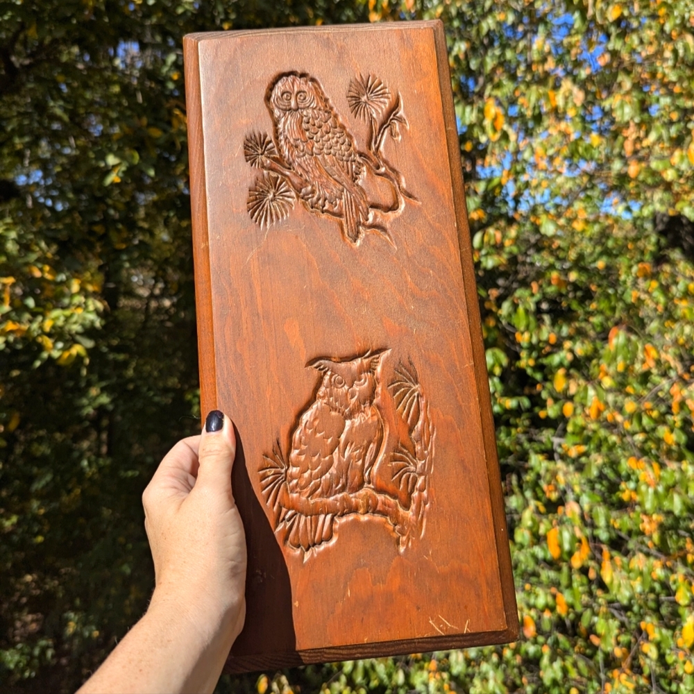 🍁 Vintage Owl Wooden Goblincore Cottage core Wall Plaque 🍁